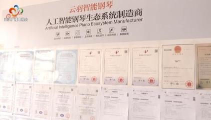 銀發(fā)創(chuàng)業(yè)傳奇 傾盡家產(chǎn)鑄琴魂，兩年破兩億的跨界逆襲